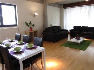 Imagen del Apartamentos The Loft Apartments. Foto 3