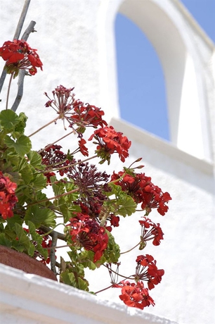 Imagen general del Apartamentos The Noverian Bios Santorini Boutique. Foto 2