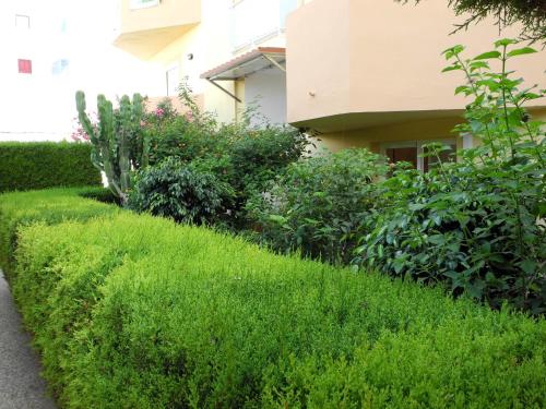 Imagen general del Apartamentos Timon, Es Pujols. Foto 7