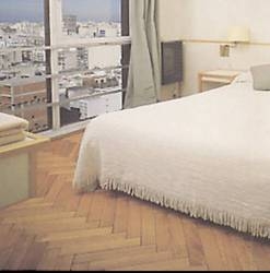 Imagen general del Apartamentos Torre San Jos&eacute;. Foto 141