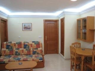 Imagen de la habitación del Apartamentos Torres Gemelas. Foto 3