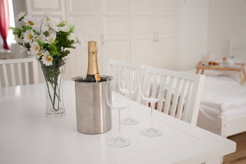 Imagen general del Apartamentos Traditional Apartments Vienna TAV - City. Foto 3