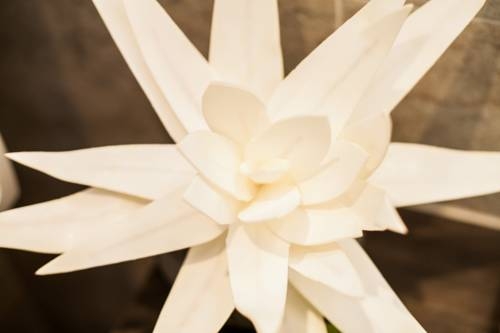 Imagen general del Apartamentos Traditional Apartments Vienna TAV - Entire. Foto 10