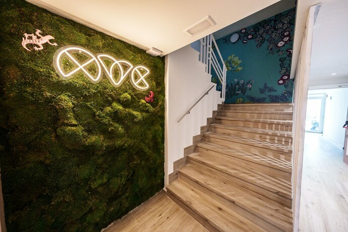 Imagen general del Apartamentos Valladolid Centro. Foto 13