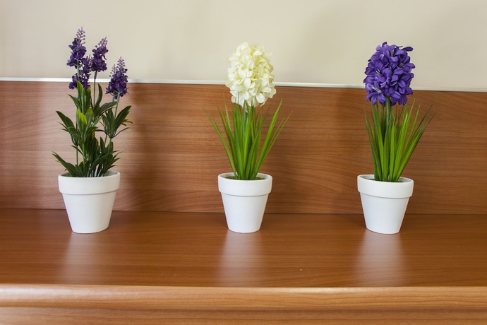 Imagen de la habitación del Apartamentos Velor Apartments. Foto 15