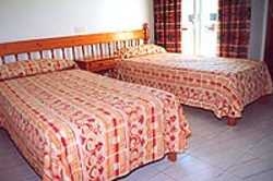 Imagen de la habitación del Apartamentos Venus, Bahia San Antonio. Foto 4