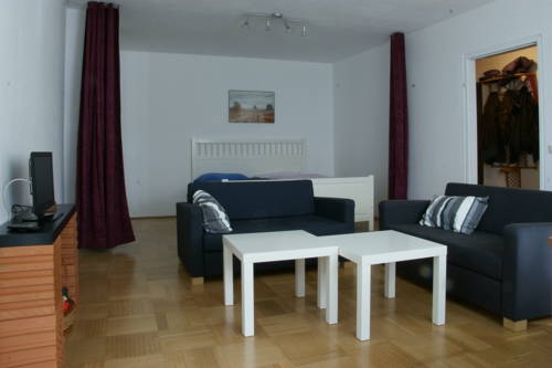 Imagen de la habitación del Apartamentos Vienna Calling. Foto 3