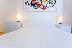 Imagen general del Apartamentos Vienna Central. Foto 3