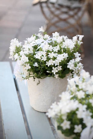 Imagen de los exteriores del Apartamentos Vienna design. Foto 8