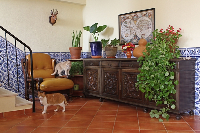 Imagen de los interiores del Apartamentos Vila Graciosa Guesthouse. Foto 8