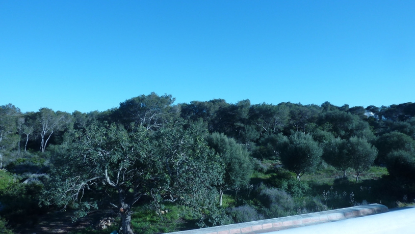 Imagen de los exteriores del Apartamentos Villa Primera. Foto 6