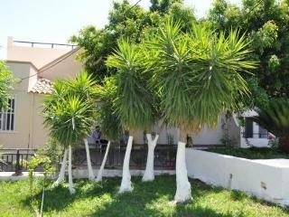 Imagen general del Apartamentos Vlicha Beach Studios. Foto 5