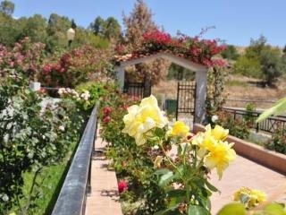 Imagen general del Apartamentos Vlicha Beach Studios. Foto 9