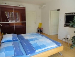 Imagen de la habitación del Apartamentos W.b. Untere Donaustraße. Foto 2