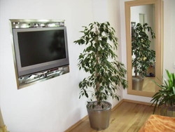 Imagen de la habitación del Apartamentos W.b. Untere Donaustraße. Foto 3