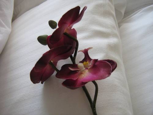 Imagen general del Apartamentos Yonge Suites Furnished. Foto 1