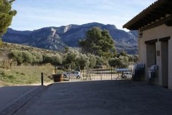 Imagen de los exteriores del Apartamentos la Farinera. Foto 6