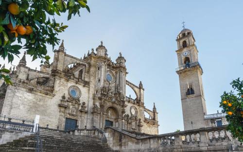 Imagen general del Apartamentos limehome Jerez de la Frontera Marqués de Casa-Domecq. Foto 12