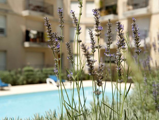 Imagen de la piscina del Aparthotel Adagio Access Bordeaux Rodesse. Foto 20