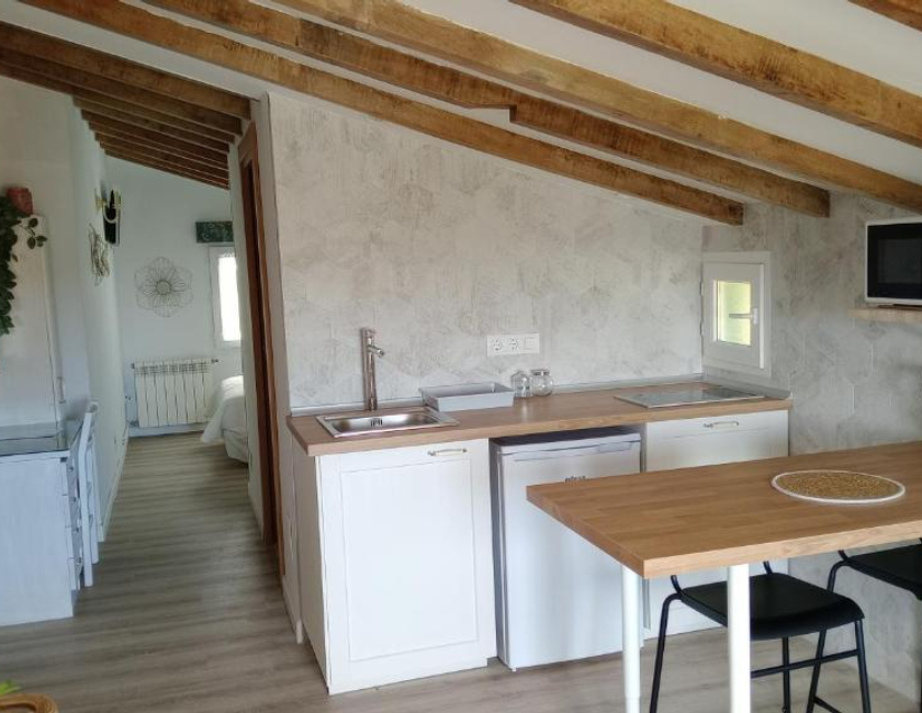 Imagen de la habitación del Aparthotel Alojamientos El P&aacute;ramo. Foto 6