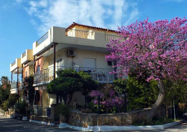 Imagen general del Aparthotel Aphrodite Lemnos. Foto 6