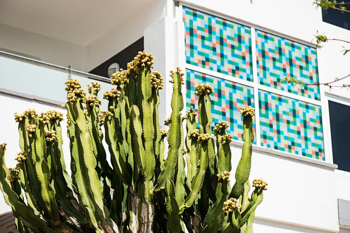 Imagen de los exteriores del Aparthotel Axel Beach Maspalomas - Adults Only. Foto 10