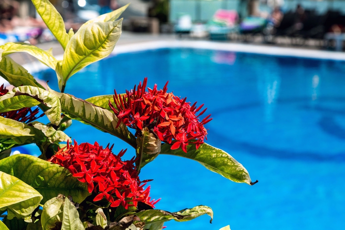 Imagen de la piscina del Aparthotel Bah&iacute;a Blanca, Puerto Rico. Foto 15