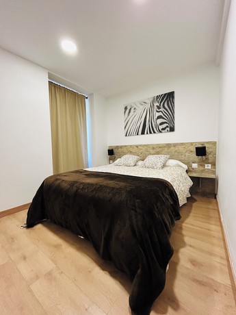 Imagen de la habitación del Aparthotel Canfranc. Foto 3