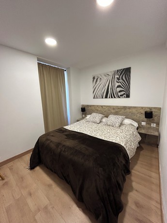Imagen de la habitación del Aparthotel Canfranc. Foto 20
