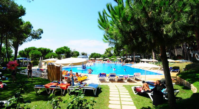Imagen de la piscina del Aparthotel Ciutat De Palol. Foto 12