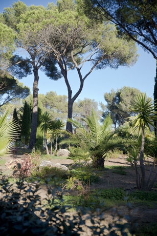Imagen de los exteriores del Aparthotel Comfort Frejus La Tour de Mare. Foto 11