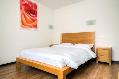 Imagen de la habitación del Aparthotel Comfort Mutzig Portes d'Alsace. Foto 10