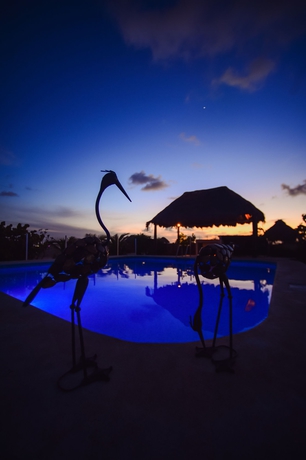 Imagen de la piscina del Aparthotel Encanto Riviera. Foto 15