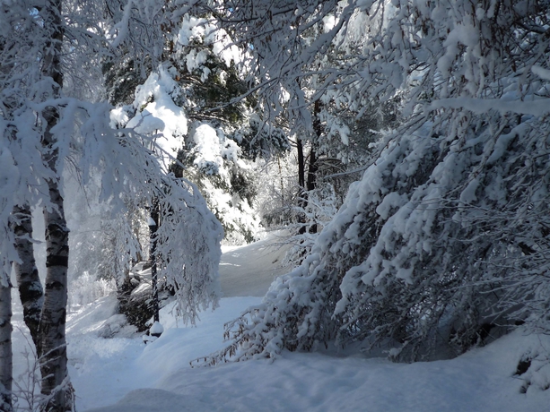 Imagen de los exteriores del Aparthotel La Neu, Llorts. Foto 8