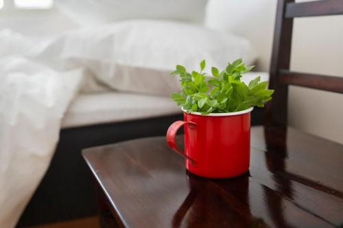 Imagen de la habitación del Aparthotel Lietsu Boutique. Foto 3