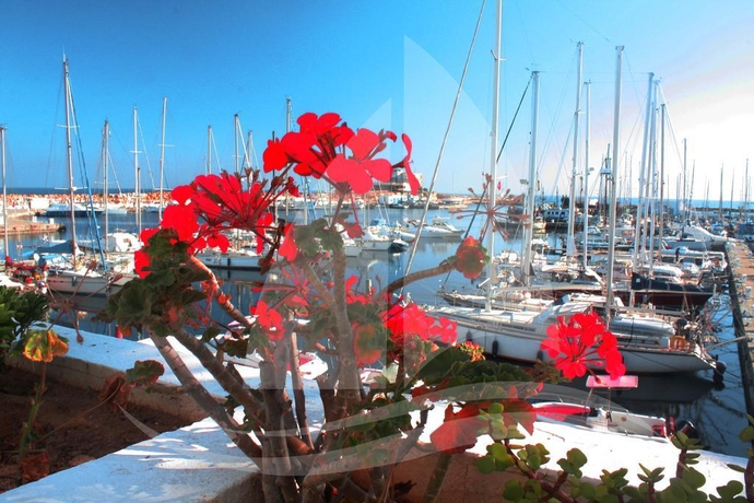 Imagen general del Aparthotel Marina Cap Monastir Appart H&ocirc;tel. Foto 7