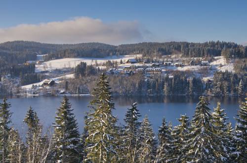 Imagen general del Aparthotel Nature Titisee. Foto 1