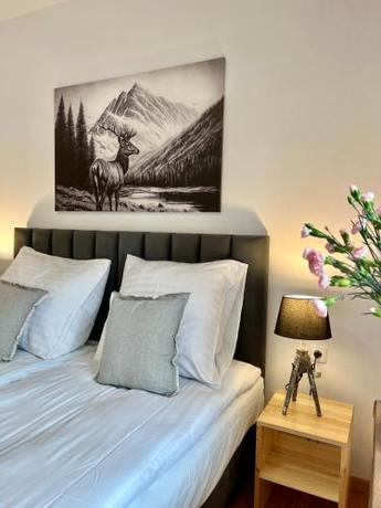 Imagen de la habitación del Aparthotel Nosal Ski and Wine Apartments. Foto 9