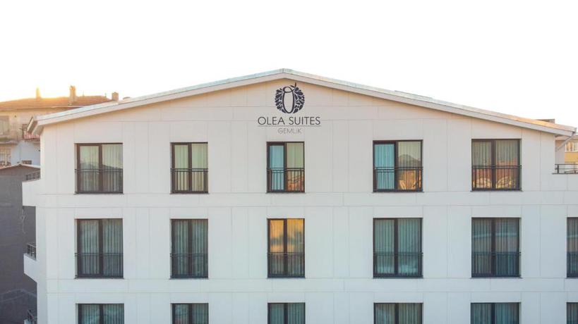 Imagen general del Aparthotel Olea Suites Gemlik. Foto 1