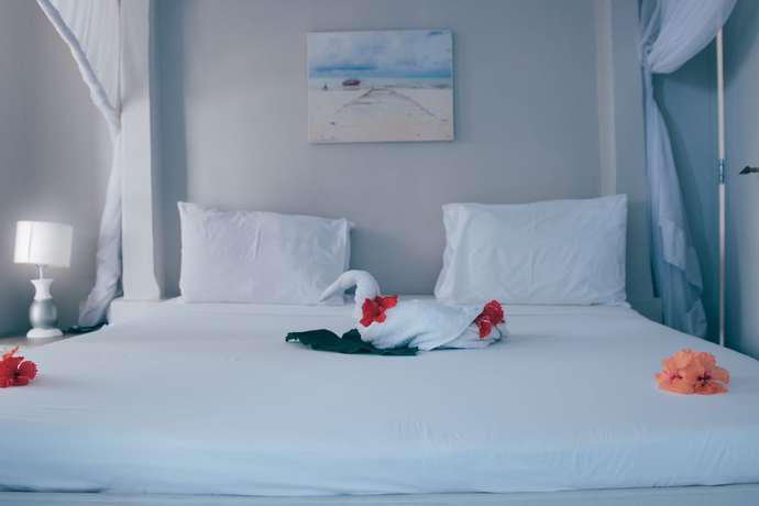 Imagen de la habitación del Aparthotel Paje Beach. Foto 9