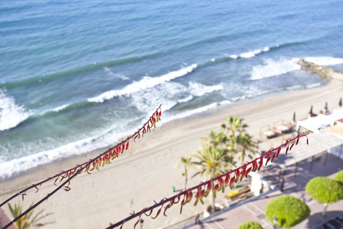 Imagen de los exteriores del Aparthotel Princesa Playa. Foto 16