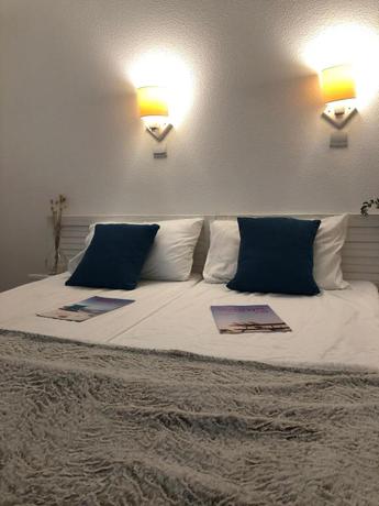 Imagen general del Aparthotel R&eacute;sidence Les Alcyons. Foto 1
