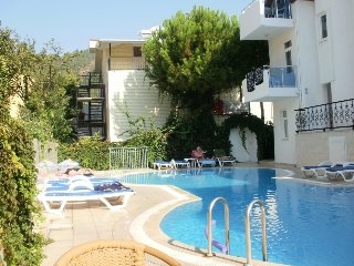 Imagen de la piscina del Aparthotel Tolan. Foto 7