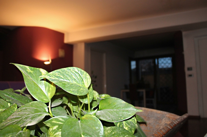 Imagen de los interiores del B&B A Casa Di Elena. Foto 7