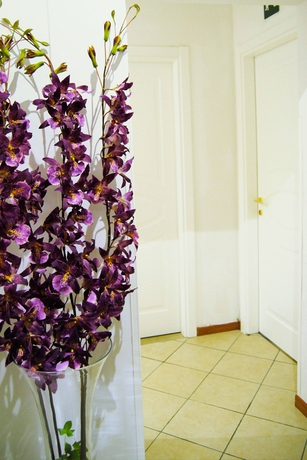 Imagen de los interiores del B&B Adelaide House. Foto 16