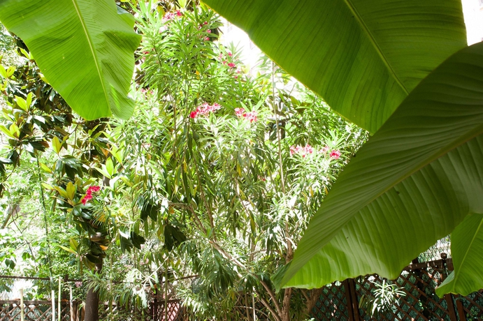 Imagen de los exteriores del B&B Almes Roma. Foto 14