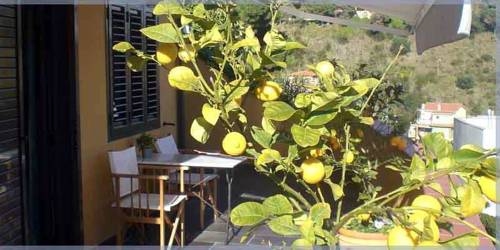 Imagen general del B&B Anita's. Foto 4