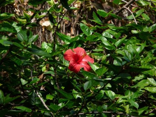 Imagen general del B&B Baires Soho. Foto 22