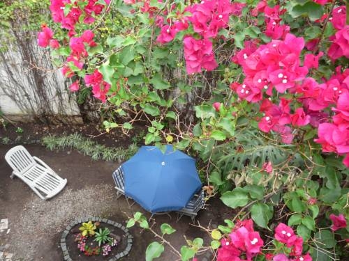 Imagen general del B&B Baires Soho. Foto 24