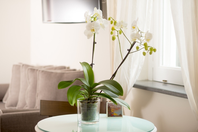 Imagen de la habitación del B&B Bandb Maiurè. Foto 10